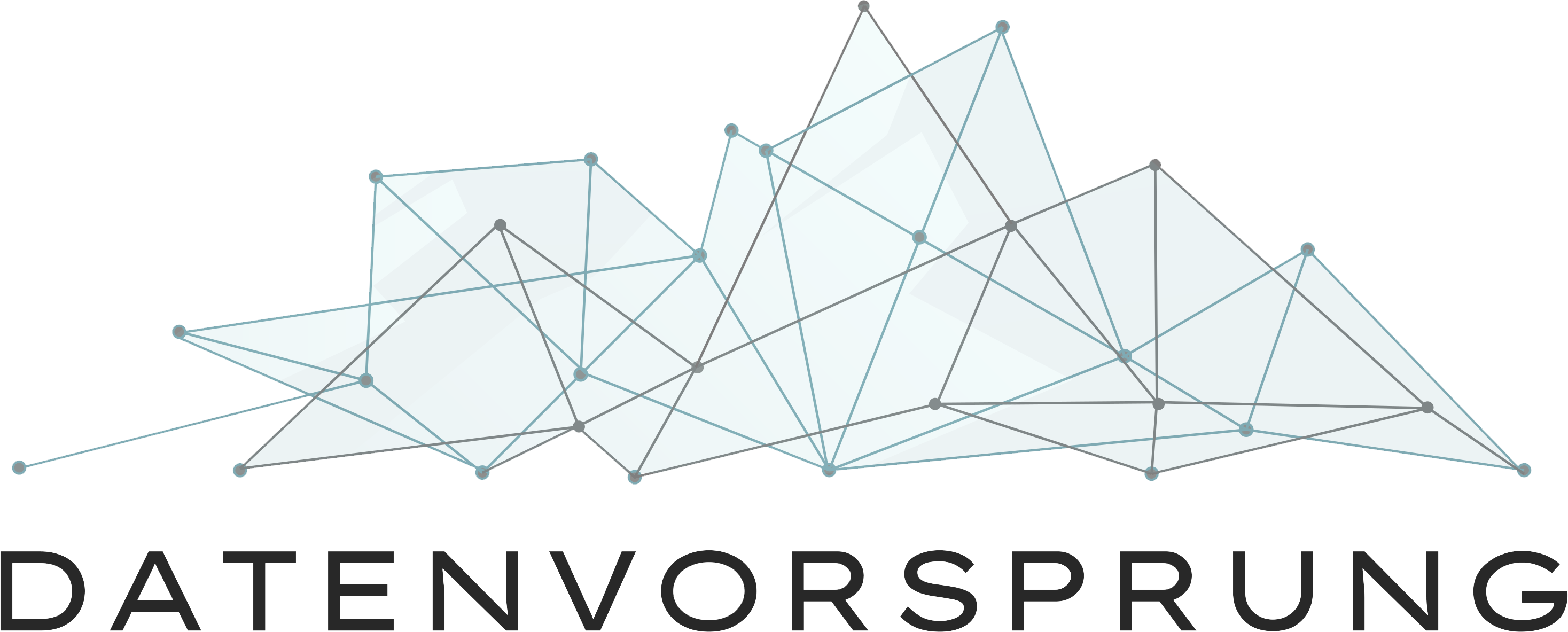 Datenvorsprung logo
